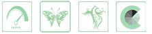 TokenǮ